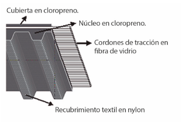 diagrama correas sincrónicas paso XL/L/H/XH